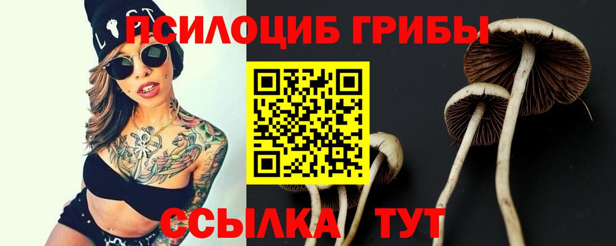 Псилоцибиновые грибы мухоморы Миллерово